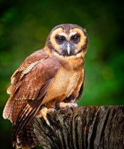DSC_5239_2024