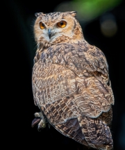 DSC_5540_2024