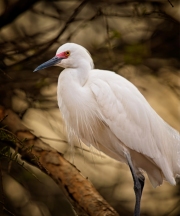 DSC_5880-2024