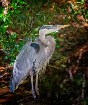 DSC_8565_2024